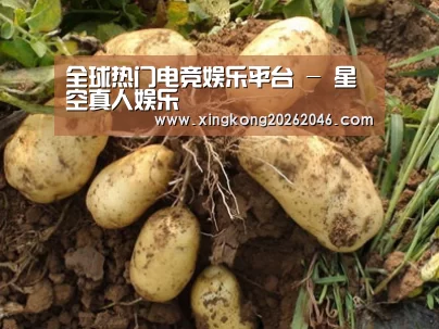 种植基地六