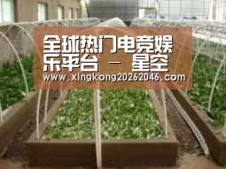 环境展示五