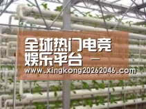 环境展示六