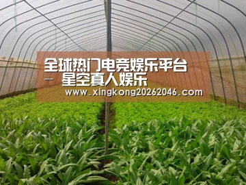 种植基地四