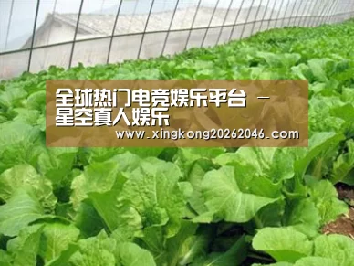 种植基地一