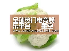 产品名称九