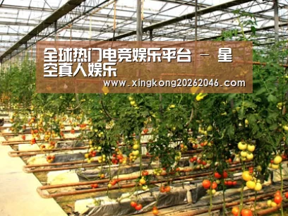 种植基地二