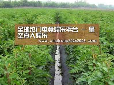 种植基地三
