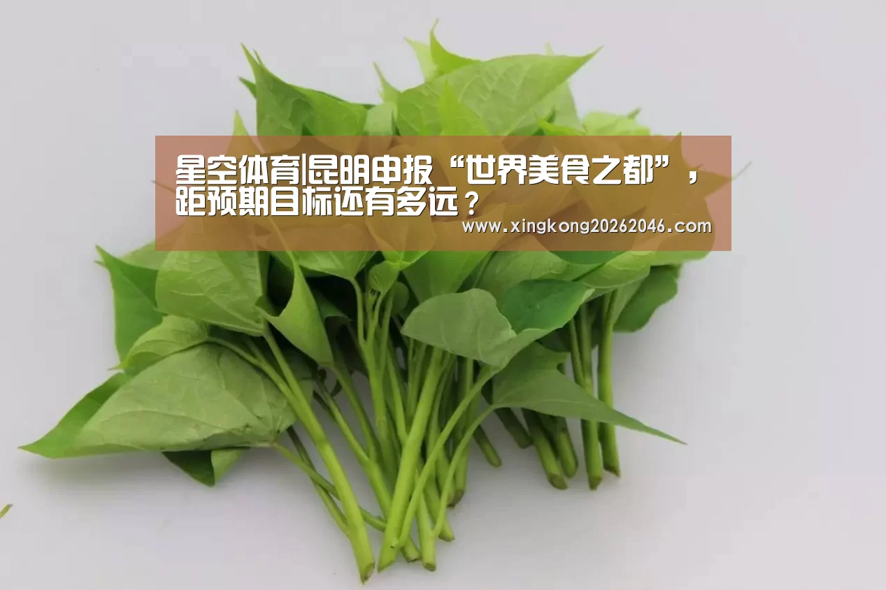 星空体育|昆明申报“世界美食之都”,距预期目标还有多远?(图3) 星空官方