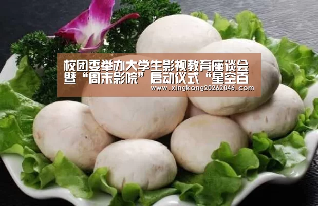 校团委举办大学生影视教育座谈会暨“周末影院”启动仪式“星空百家乐”(图3) 星空体育