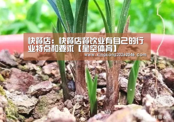 快餐店:快餐店餐饮业有自己的行业特点和要求【星空体育】(图4) 星空官方