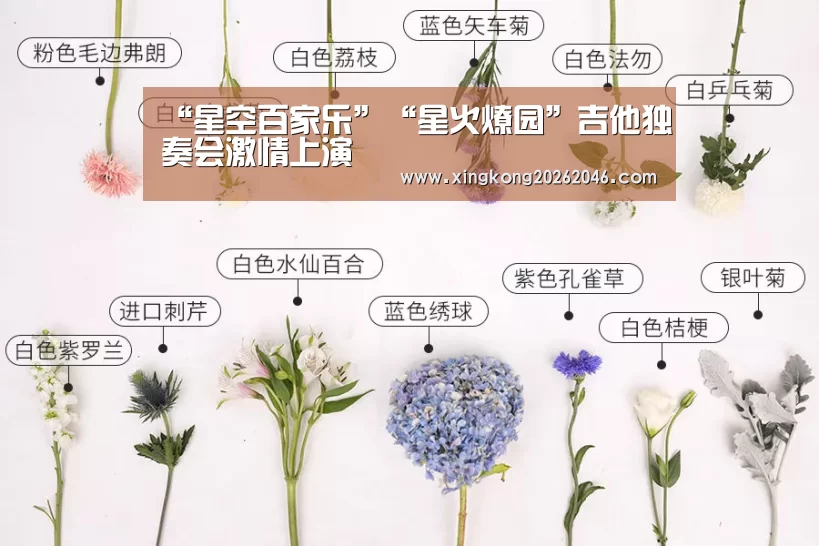 “星空百家乐”“星火燎园”吉他独奏会激情上演(图1) 星空体育
