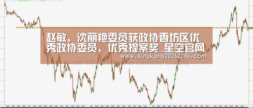 赵敏、沈丽艳委员获政协香坊区优秀政协委员、优秀提案奖_星空官网(图1) 星空官方