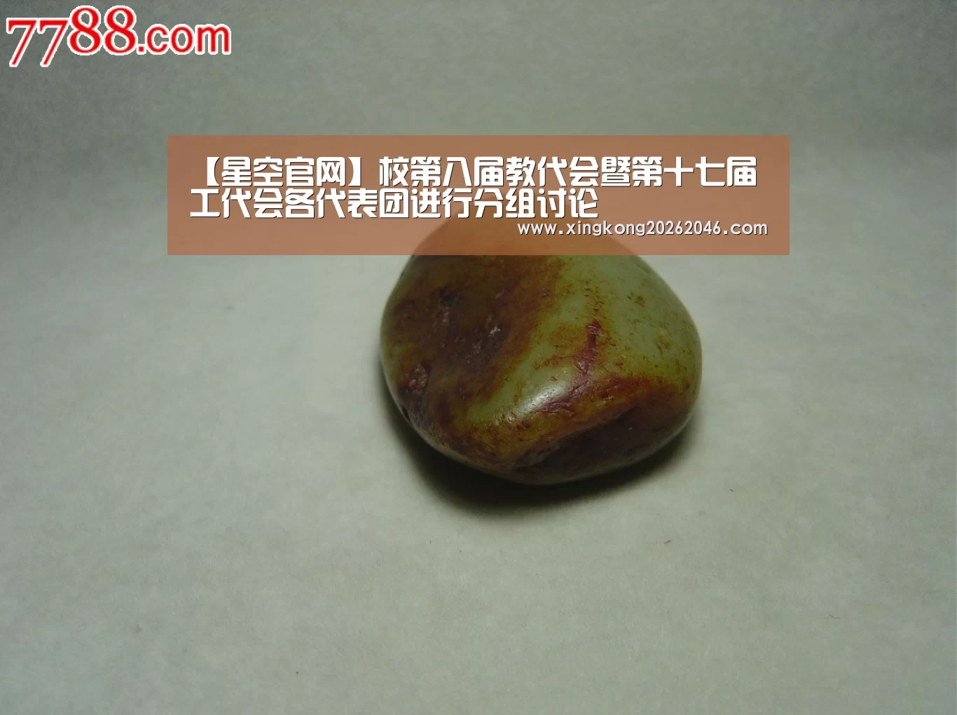 【星空官网】校第八届教代会暨第十七届工代会各代表团进行分组讨论(图1) 星空百家乐