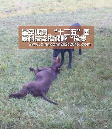 星空体育_“十二五”国家科技支撑课题“珍贵用材树种新品种选育技术研究” 2012年度总结暨学术交流会在广西召开(图2) 星空体育