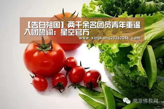 【告白祖国】两千余名团员青年重温入团誓词:星空官方(图1) 星空官网